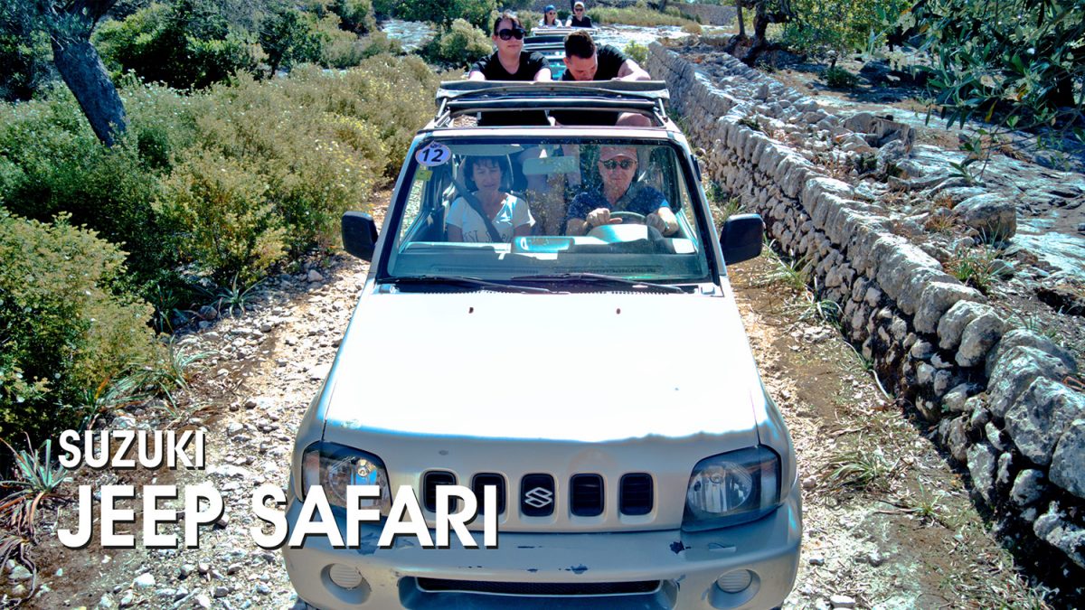 Suzuki Jeep Safari