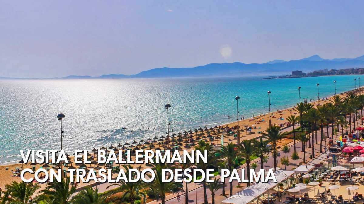 Visit the Ballermann with transfer from Palma