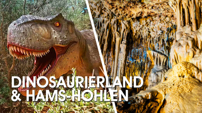 Unterhaltsamer Tag im Dinosaurierland und in den Hams-Höhlen
