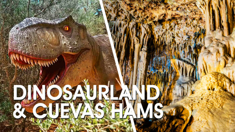 Divertido día en Dinosaurland y cuevas Hams