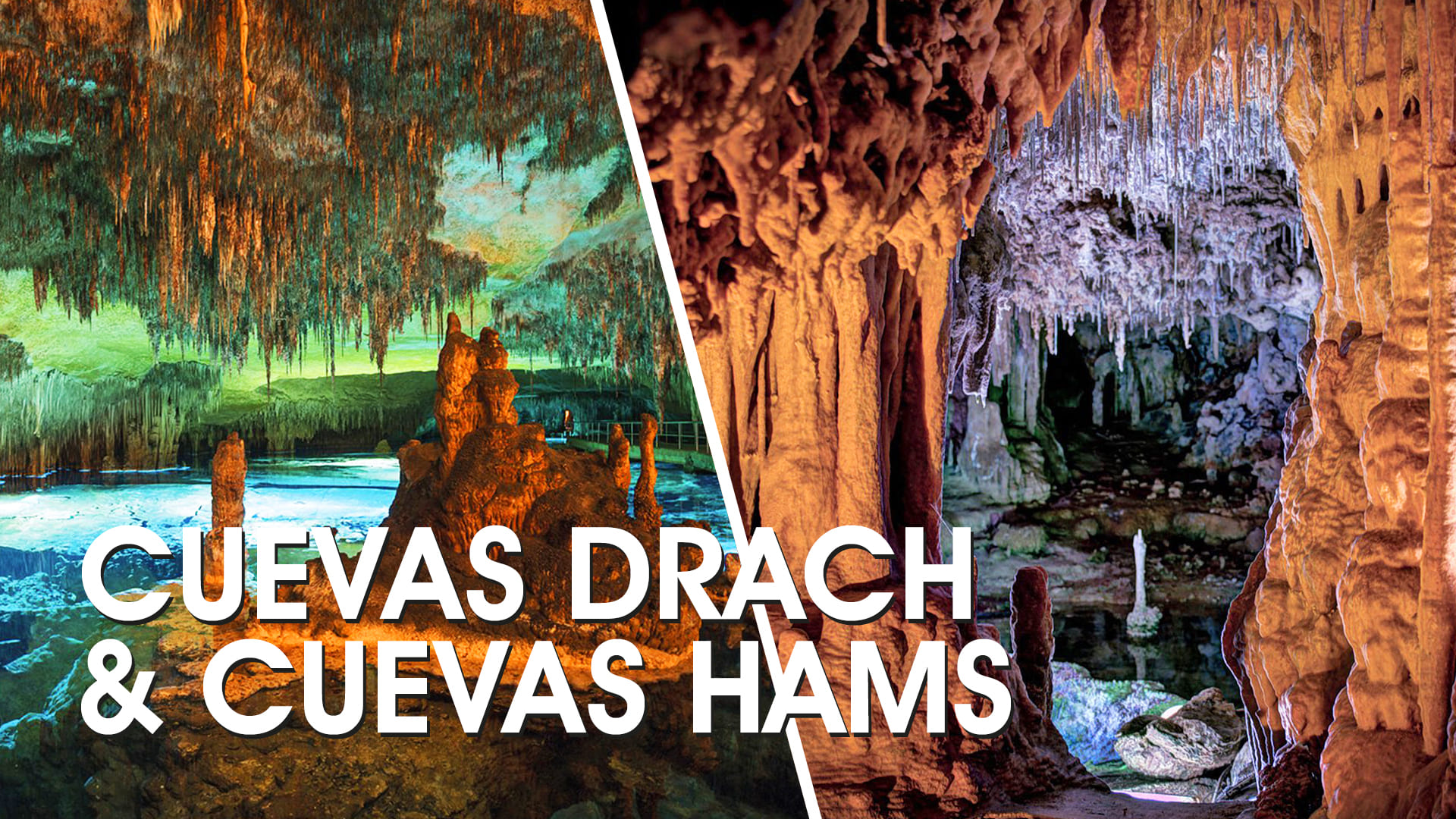 Cuevas Drach & Cuevas Hams dia completo