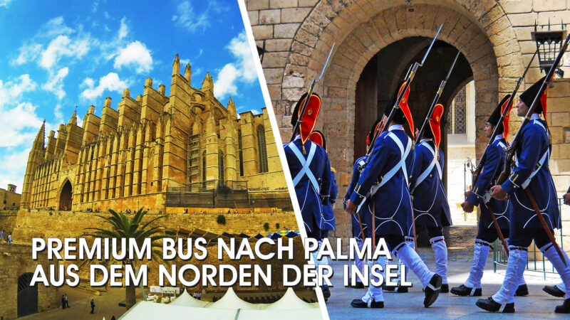 Premium Bus nach Palma aus dem Norden der Insel