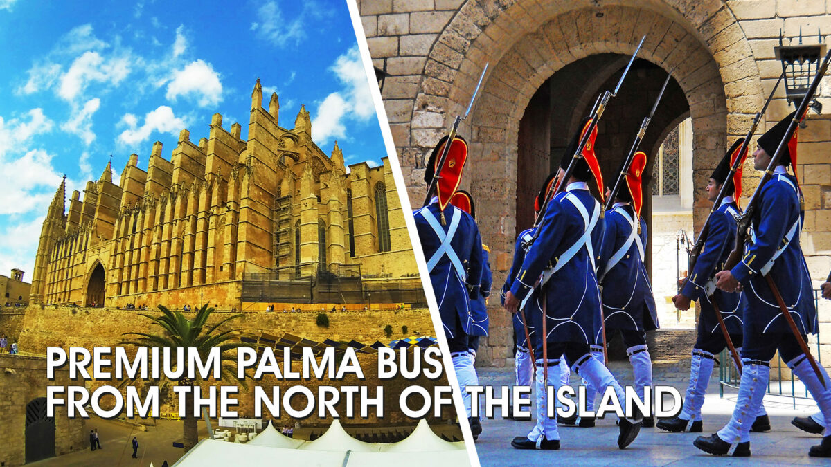 Premium Palma bus from the north of the island
