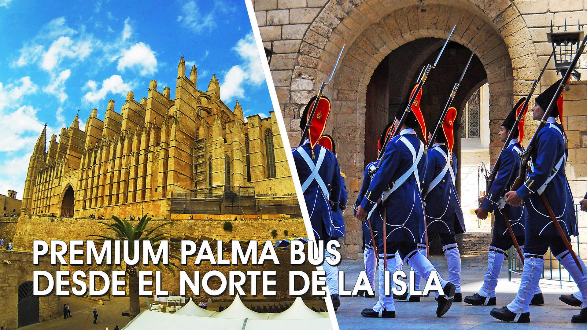 Premium Palma bus desde el norte de la isla